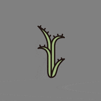 tetemarche_mochizuki recipist レシピスト GIF