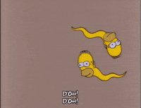 homer simpson episode 13 GIF