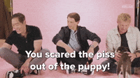 Scared The Puppy