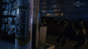 PROTECTGLOBAL security fog protect fog cannon GIF