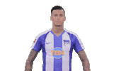 Davie Selke Sticker by Hertha BSC
