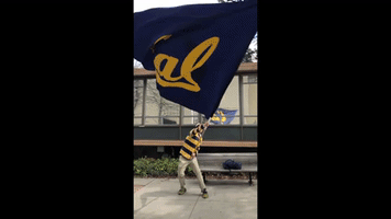 Uc Berkeley GIF by Cal