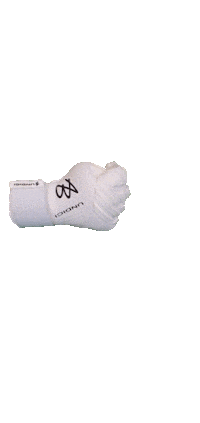 Football Goalkeeper Sticker by AB1GK