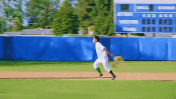 happy red sox GIF by Guava Juice