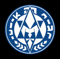 Israel Tnua GIF by Hanoar Hatzioni Haolami