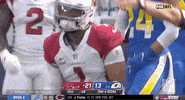 Arizona Cardinals Football GIF by NFL