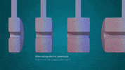 GIF by CERN