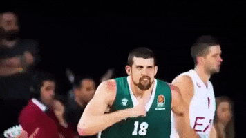 excited euroleague basketball GIF by EuroLeague