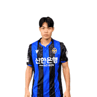 Football Soccer Sticker by Incheon United FC