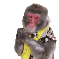 Fun Monkey Sticker