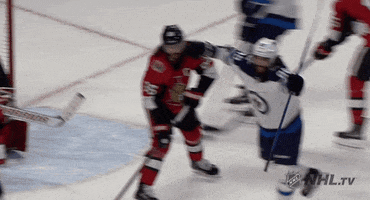 happy winnipeg jets GIF by NHL