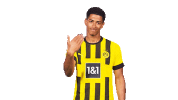 Come On Waiting Sticker by Bundesliga