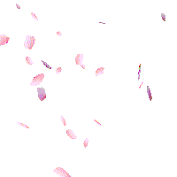 Celebrate Prom Night Sticker by Call It Spring