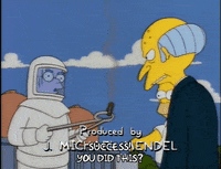 homer simpson GIF