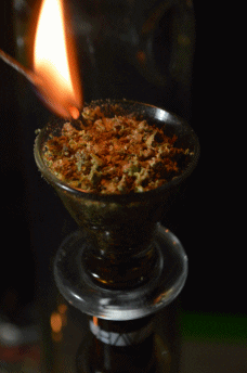 marijuana stoner GIF