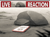 Sun Wukong Live Reaction GIF