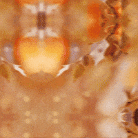 Fall Autumn GIF by TeaCosyFolk