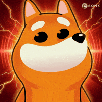 Close-Up GIF by BONK