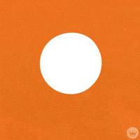 Ad gif. Visual Hallmark card with a witch flying in with a black cat on her broom against an orange background with a white circle. She lands in the middle of the circle and the text reads, "On Halloween, just flying in to witch you the happiest Halloween."