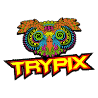 Skate Loco Sticker by Spenly