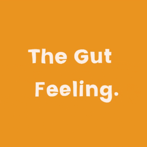 Thegutfeeling giphyupload health gut guthealth GIF