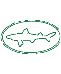 beer cheers Sticker by dogfishhead