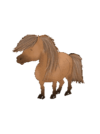 Pony Win Sticker by winterlichtmalerei