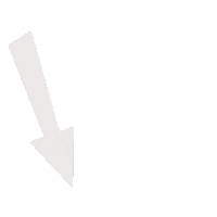 Nyu Ogi Sticker by NYU University Life