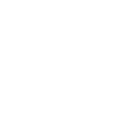 Palm Tree Festival Sticker by Rakastella