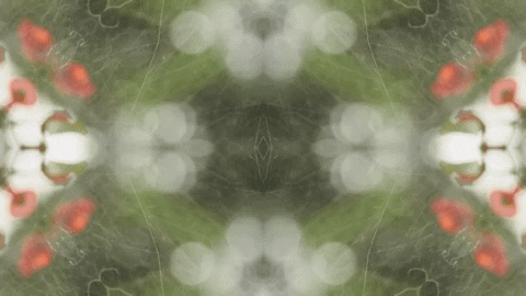Art Love GIF by jorgemariozuleta