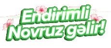 Novruz Semeni Sticker by Araz Supermarket