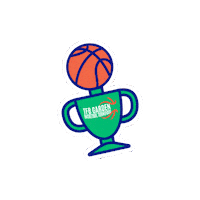 Enerjimizbasketbol Sticker by Enerjisa Üretim