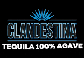 tequilaclandestina cocktails tequila agave clandestina GIF