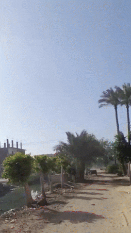 Simongip giphyupload GIF