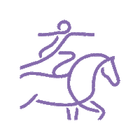 World Vaulting Sticker by CHIO Aachen