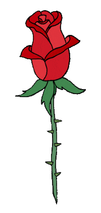 The Bachelor Holiday Sticker by By Sauts // Alex Sautter (formerly Pretty Whiskey)