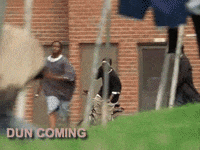 dun coming GIF