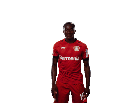 Bayer 04 Hello Sticker by Bayer 04 Leverkusen