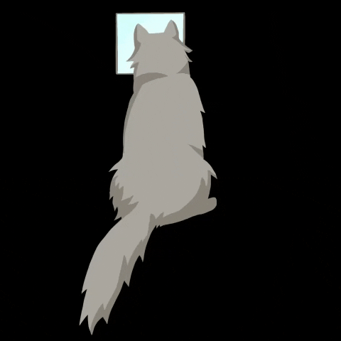 meguuedaart anime cat kawaii animals GIF
