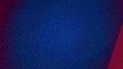 Germany Football GIF by Holstein Kiel
