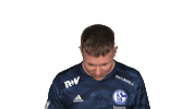 Look Up Schalke 04 Sticker by Bundesliga
