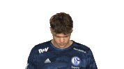 Look Up Schalke 04 Sticker by Bundesliga