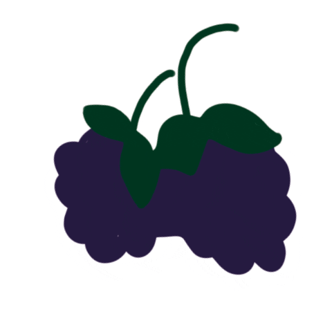 Mx Blackberry Sticker by Delibarrasmx