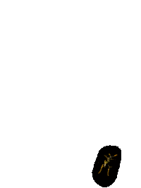 bees Sticker by Meggan Joy