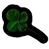 earthly delights four leaf clover Sticker by Meggan Joy