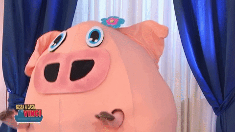 GIF by Rai2