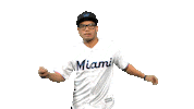 fun baseball Sticker by Miami Marlins