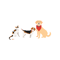 Dogs Puppies Sticker by Nature's Select Pet Food