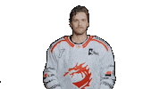 Trinec Sticker by HC Oceláři Třinec