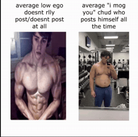 Mog David Laid GIF